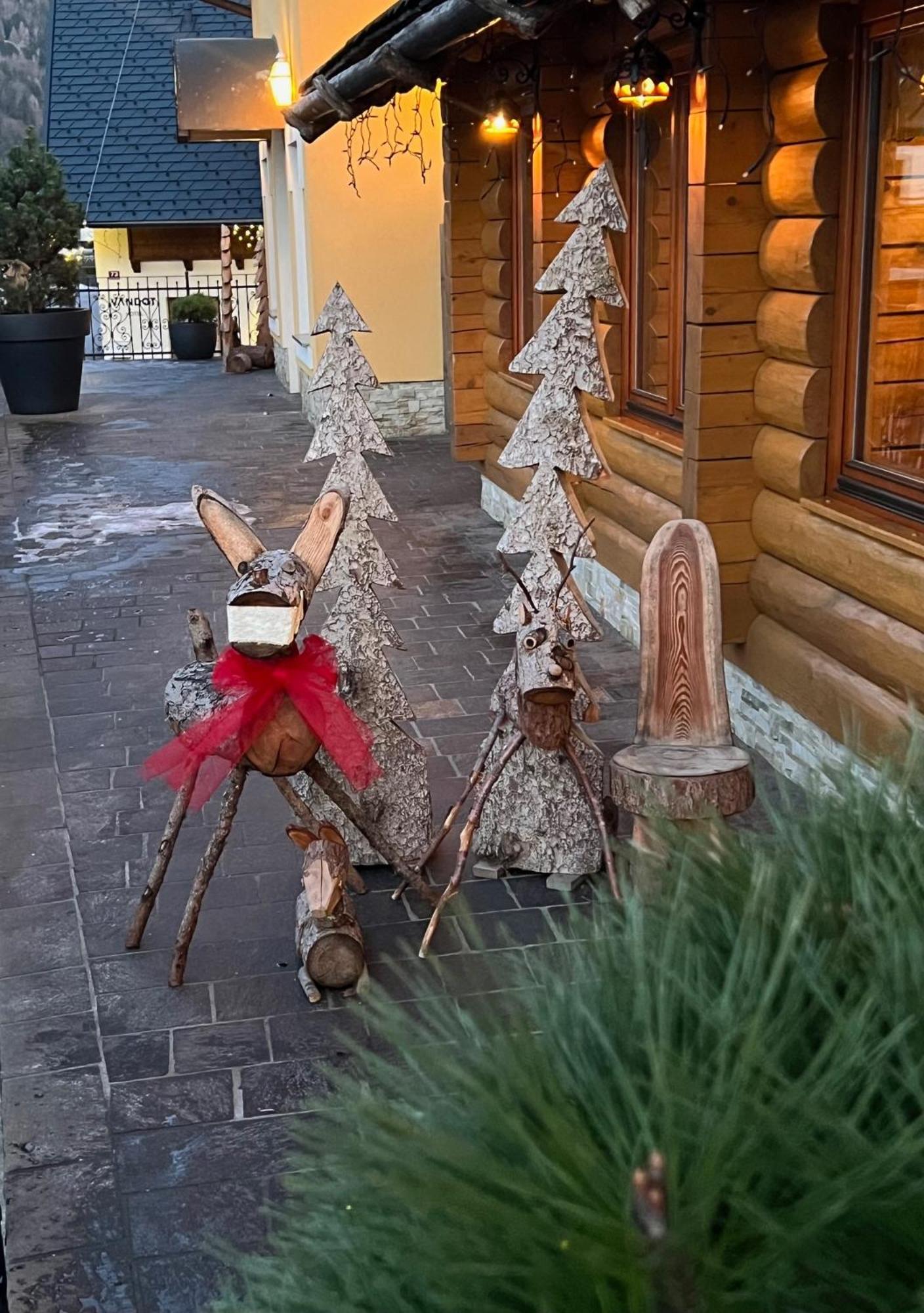 ホテル コトニク クランスカゴーラ エクステリア 写真